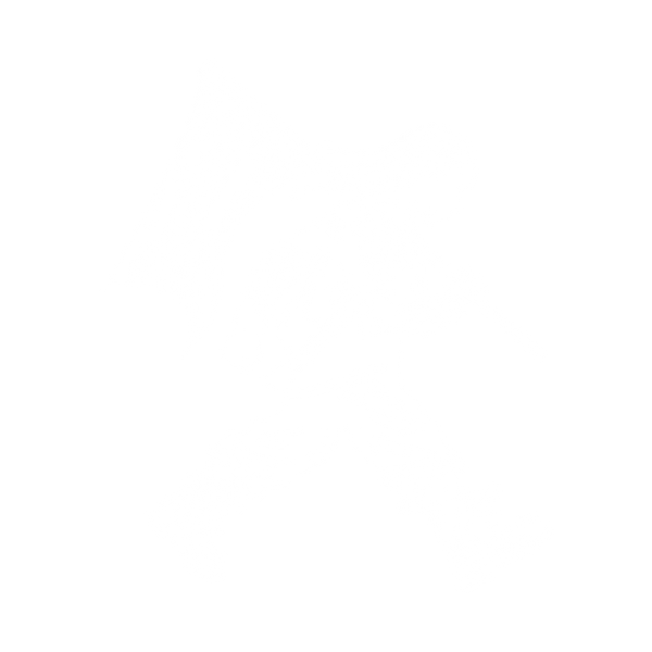 Saucedidit LLC